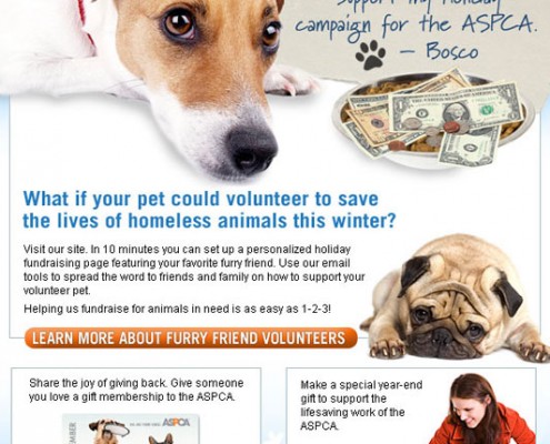ASPCA End of Year Email Blast