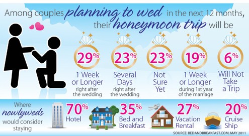 Wedding Infographic Design