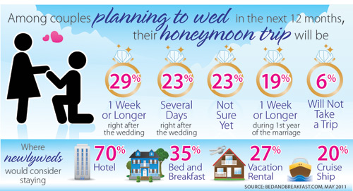 Wedding Infographic Design