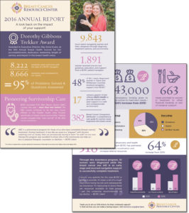 Annual Report Infographic 2017 Design