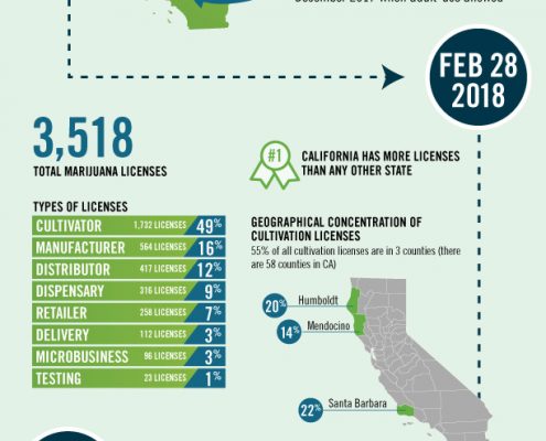 Infographic Design for Cannabis LIcenses in California Q1 of 2018