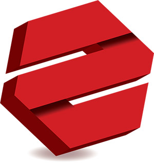 Logo & Logo Icon Design