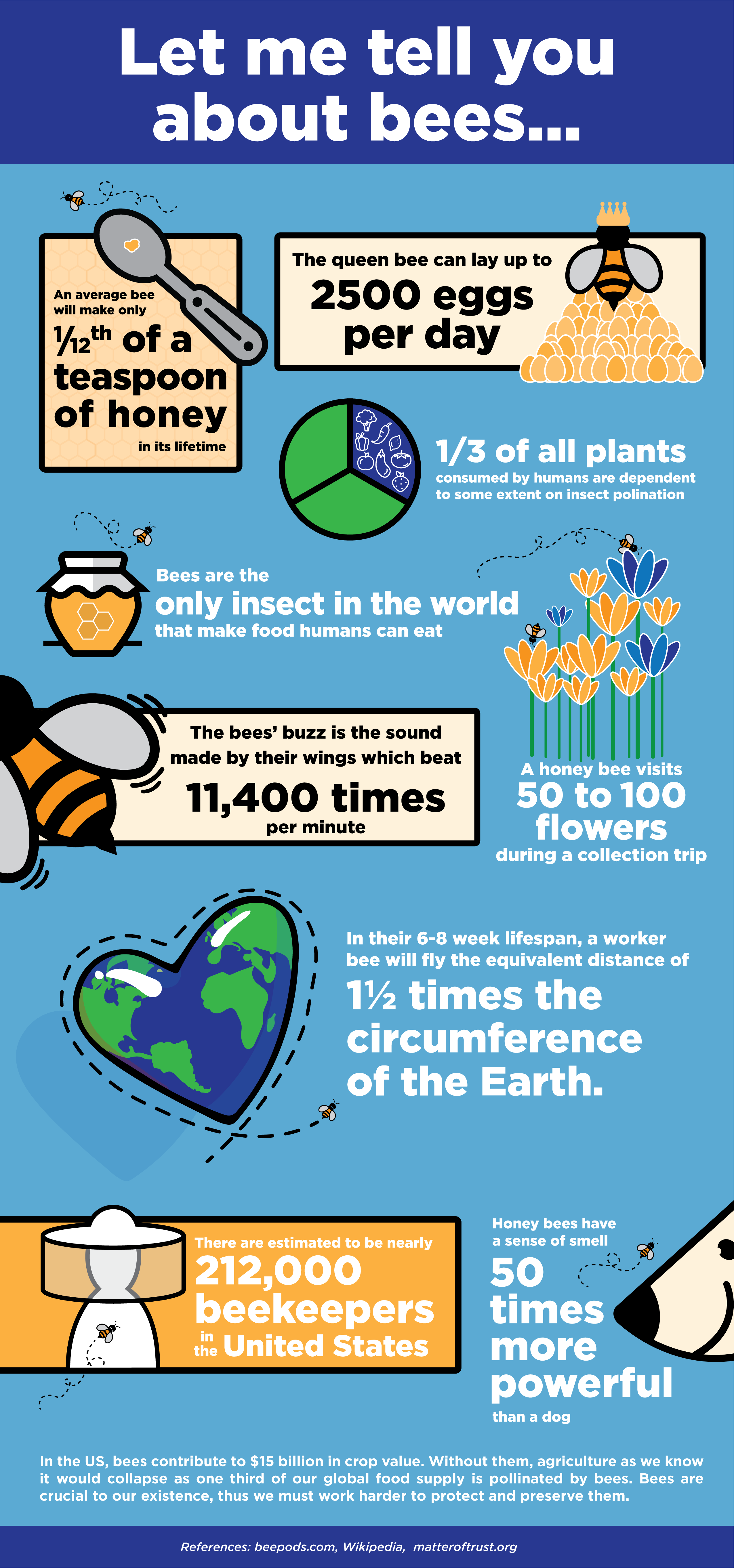 Honey Bee Infographic