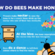 How Do Bees Make Honey Infographic