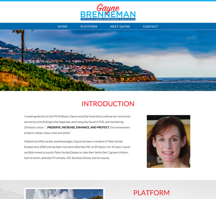 Campaign website
