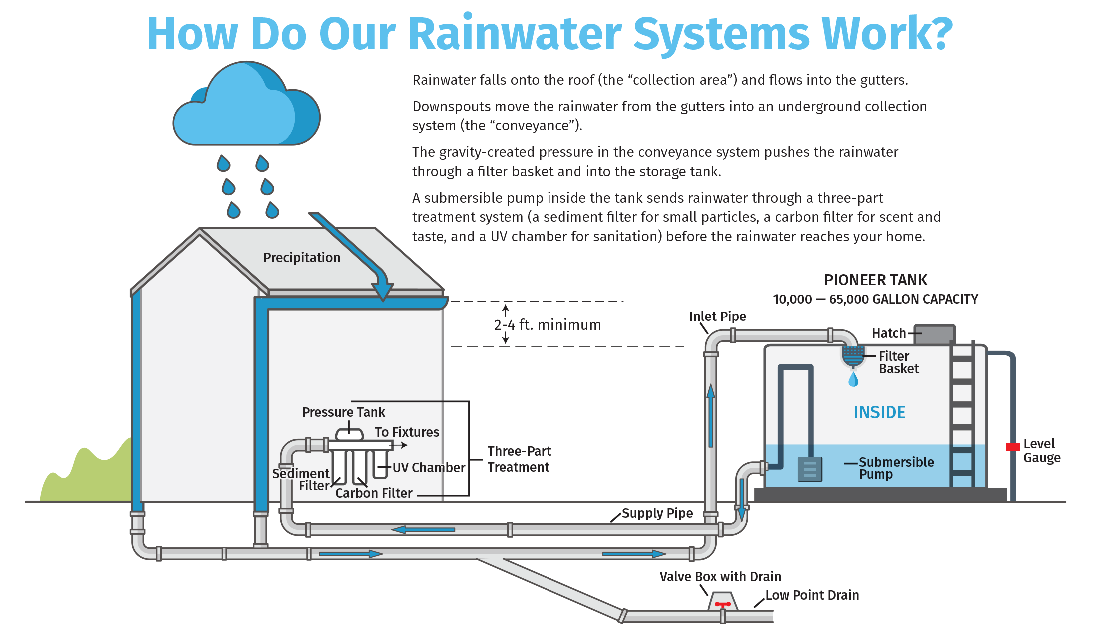 Rainwater Harvesting Infographic - Website and Print Design | Austin TX